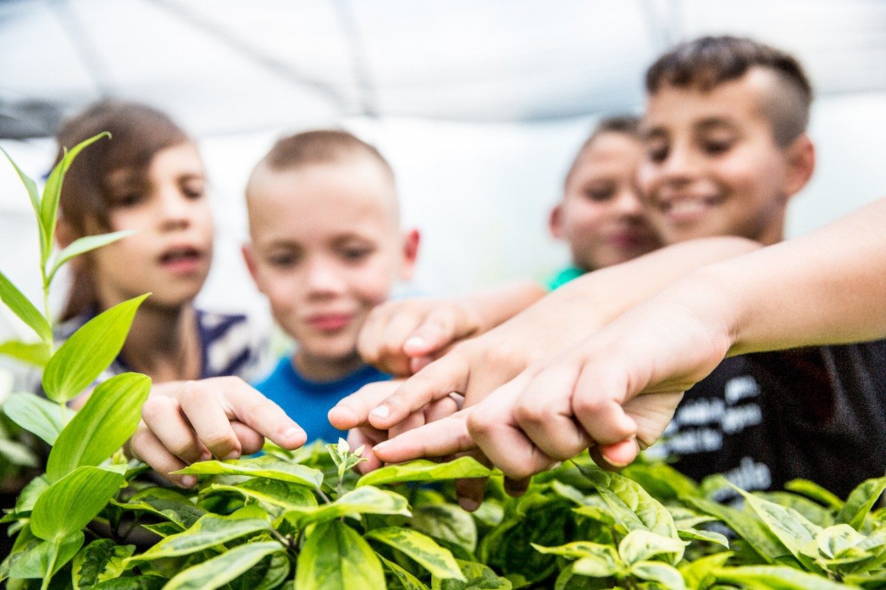 Where youth learn to grow, care for, and harvest their own fruits and vegetables